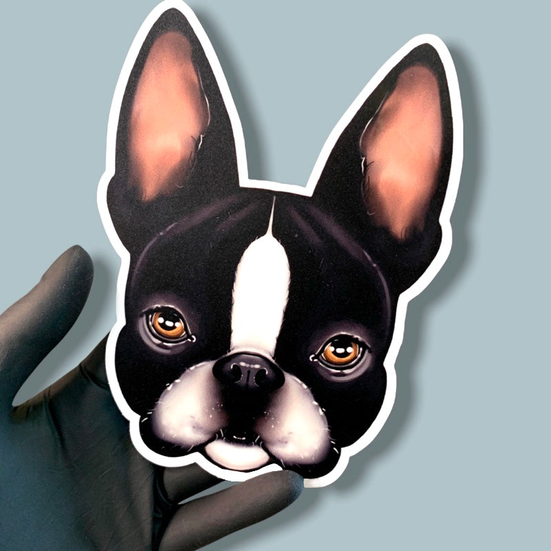 BOSTON TERRIER BLACK