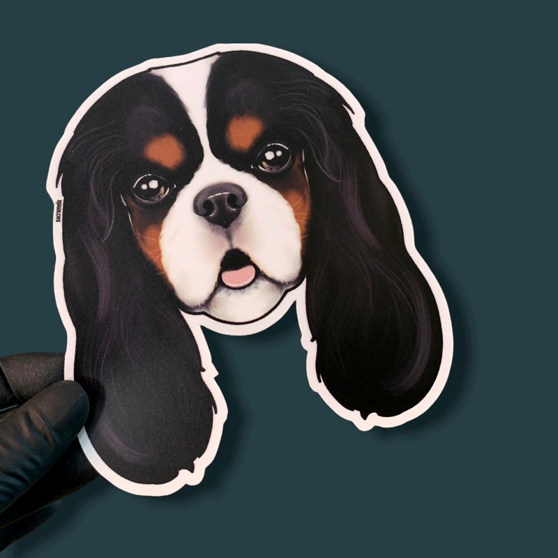 CAVALIER KING CHARLES SPANIEL TRI COLOR