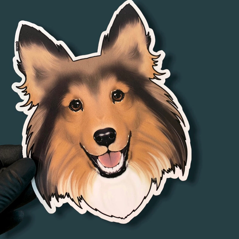 SHETLAND SHEEPDOG MAHOGANY SABLE
