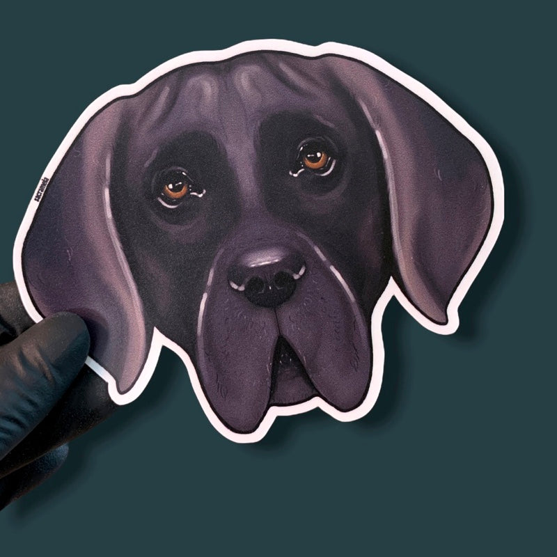 DEUTSCHE DOGGE SILVER