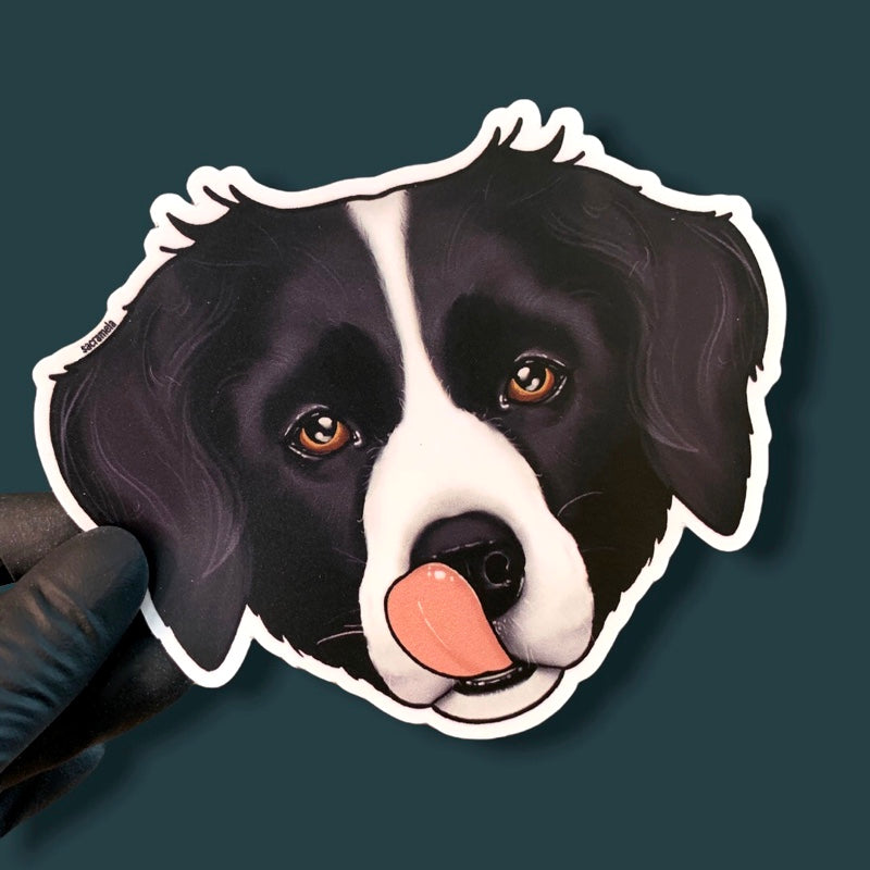 BORDER COLLIE