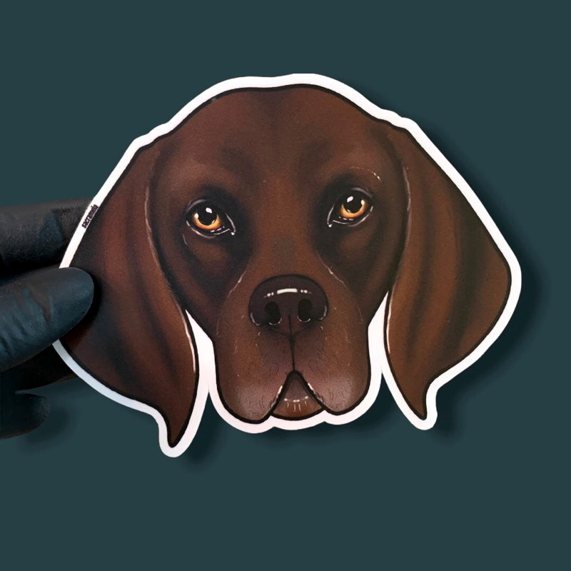GERMAN SHORTHAIRED POINTER BROWN