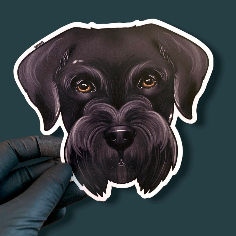 GIANT SCHNAUZER BLACK