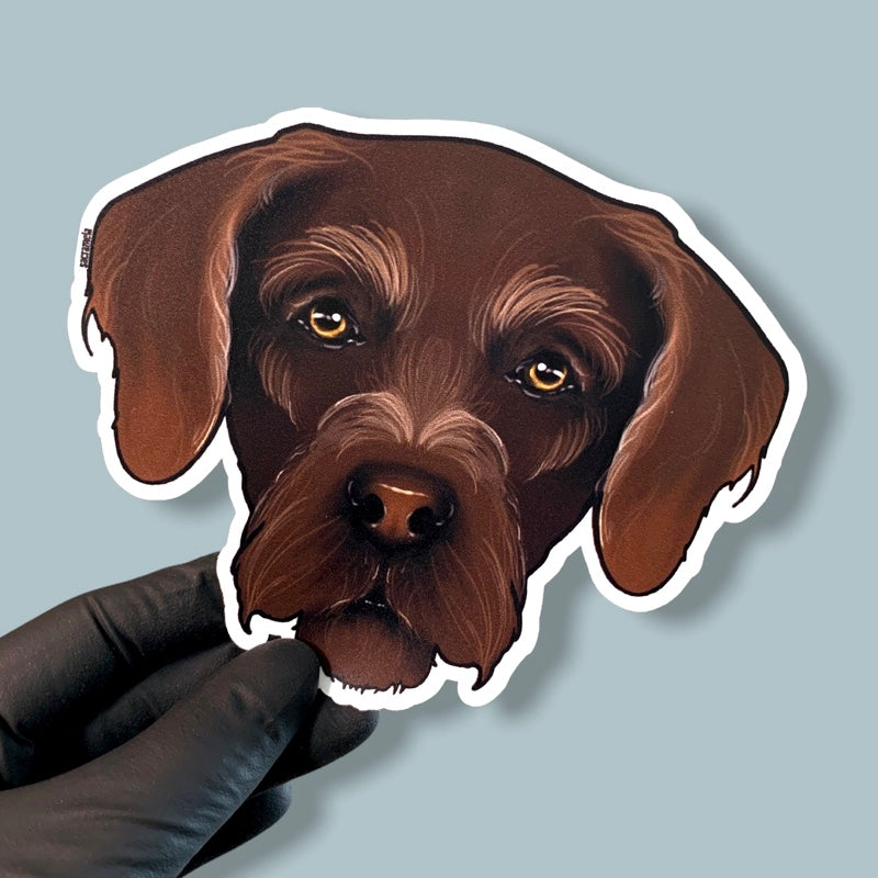 GERMAN WIREHAIRED POINTER BROWN