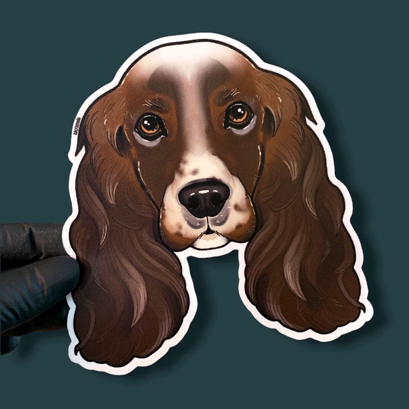 ENGLISH COCKER SPANIEL BROWN WHITE