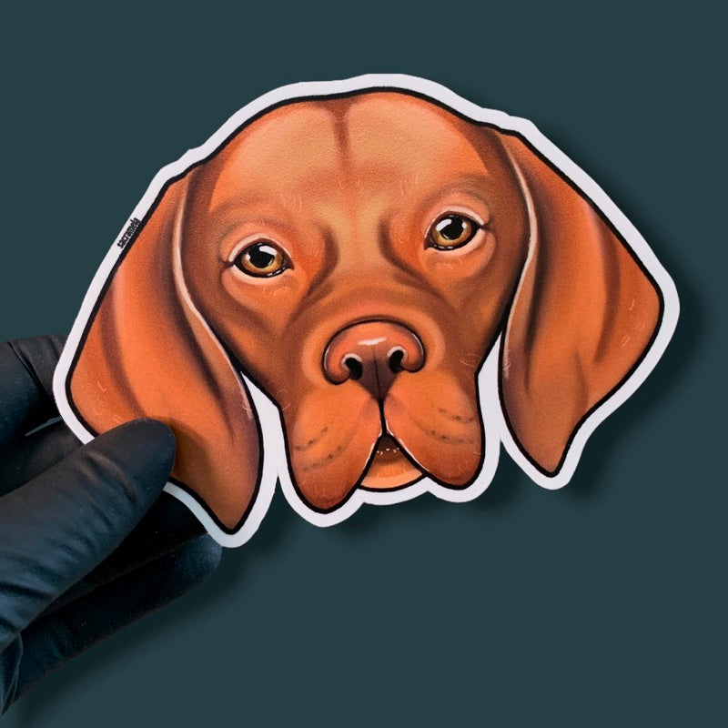 MAGYAR VIZSLA