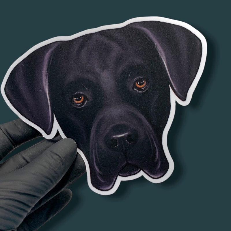 CANE CORSO BLACK