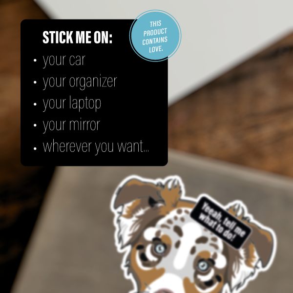 AUSTRALIAN SHEPHERD MULTICOLOR