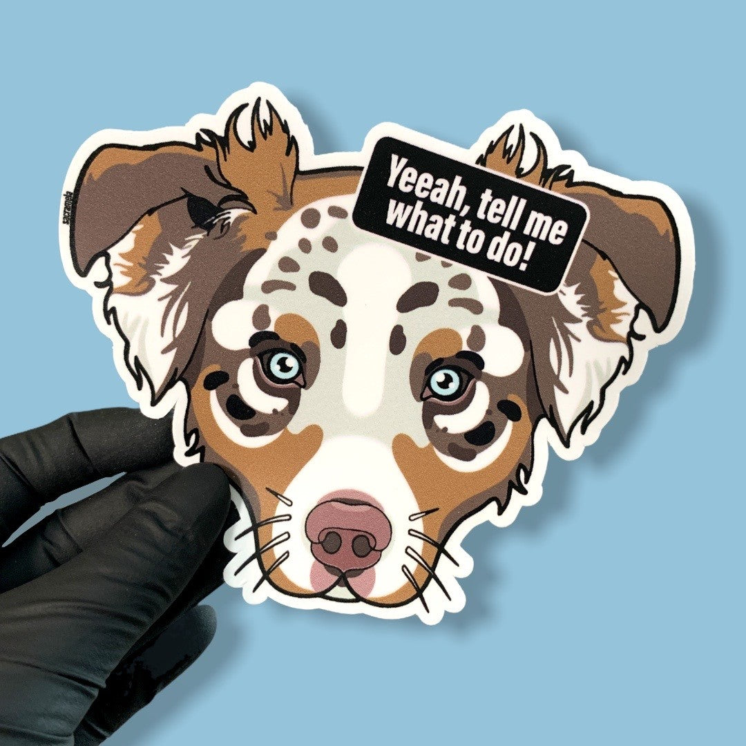AUSTRALIAN SHEPHERD MULTICOLOR