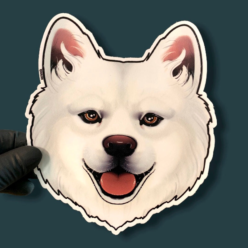 SAMOYED / SAMOJEDE