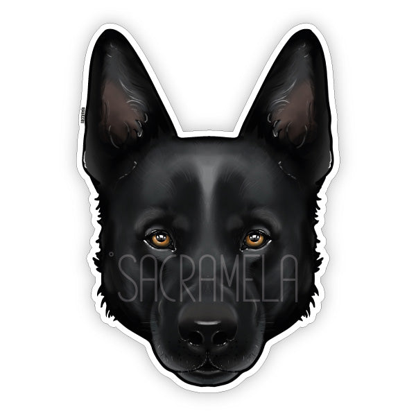 BLACK GERMAN SHEPHERD