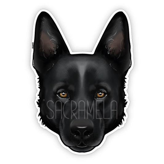 BLACK GERMAN SHEPHERD