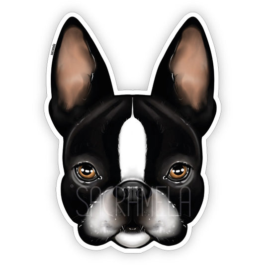 BOSTON TERRIER BLACK