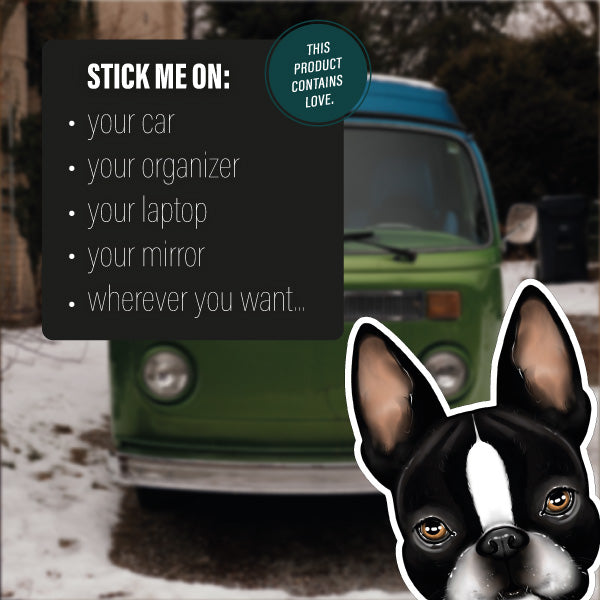 BOSTON TERRIER BLACK