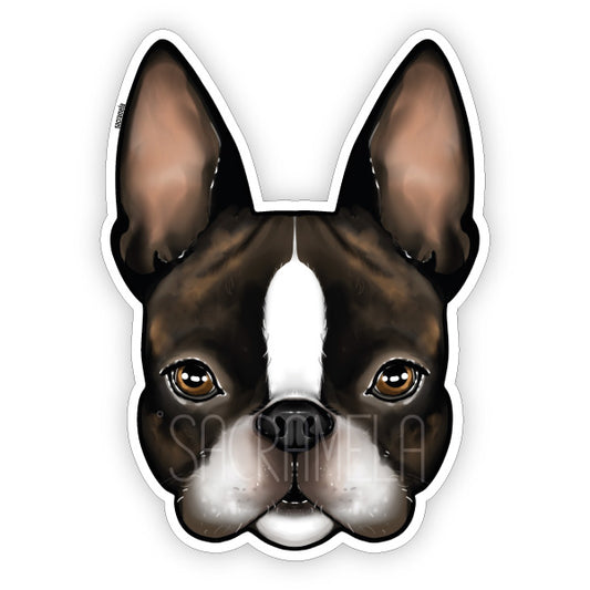BOSTON TERRIER BRINDLE