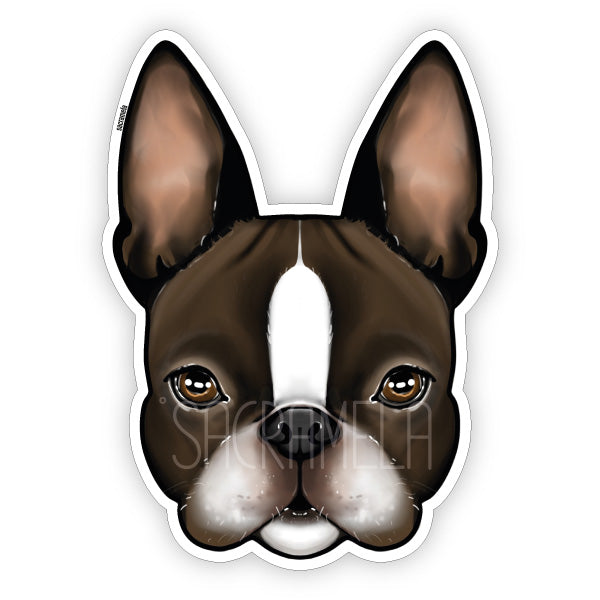 BOSTON TERRIER BROWN WHITE