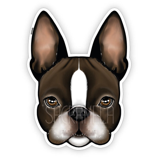 BOSTON TERRIER BROWN WHITE