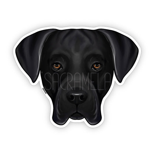 CANE CORSO BLACK