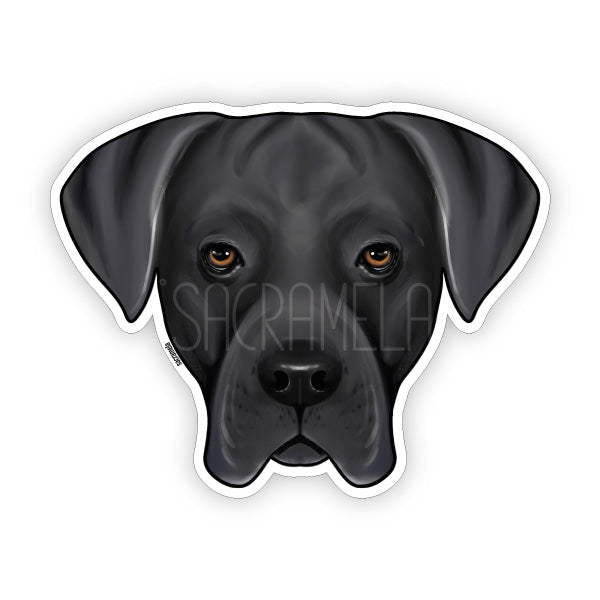 CANE CORSO SILVER