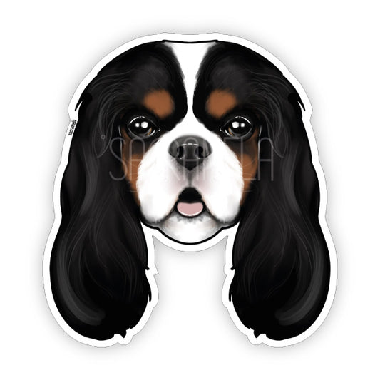 CAVALIER KING CHARLES SPANIEL TRI COLOR