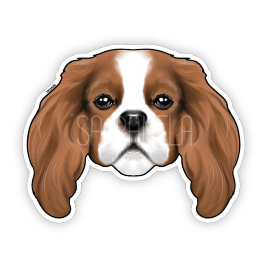 CAVALIER KING CHARLES SPANIEL BROWN