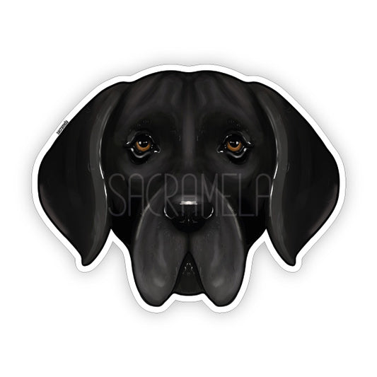 DEUTSCHE DOGGE BLACK