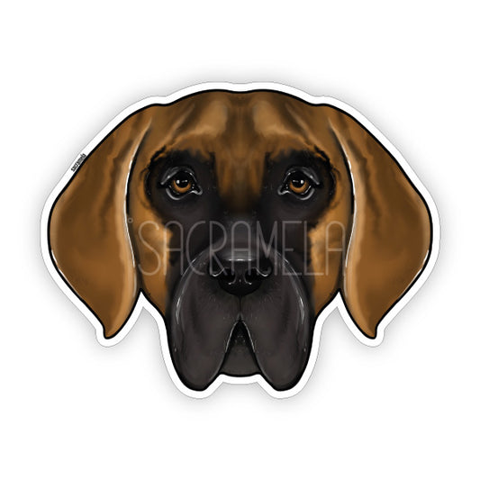 DEUTSCHE DOGGE BRINDLE