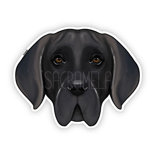 DEUTSCHE DOGGE SILVER