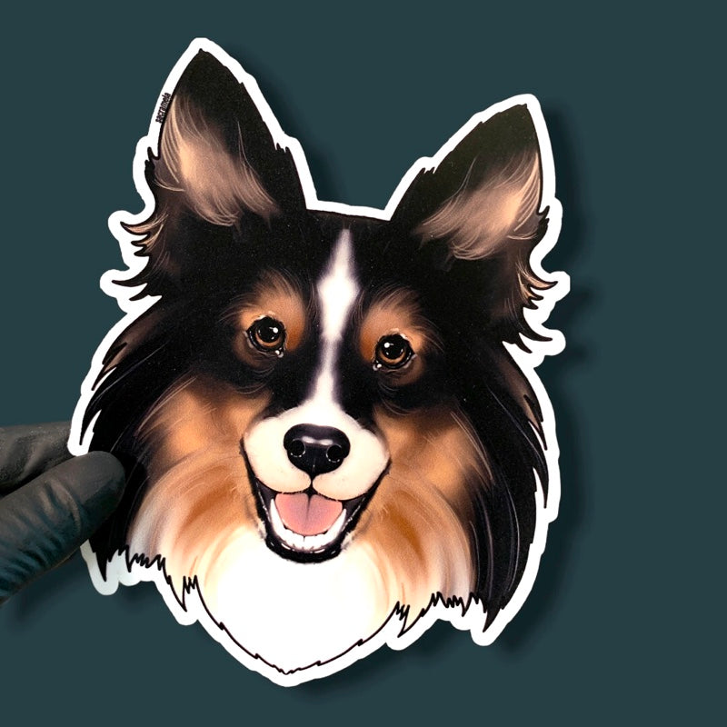 SHETLAND SHEEPDOG TRI COLOR