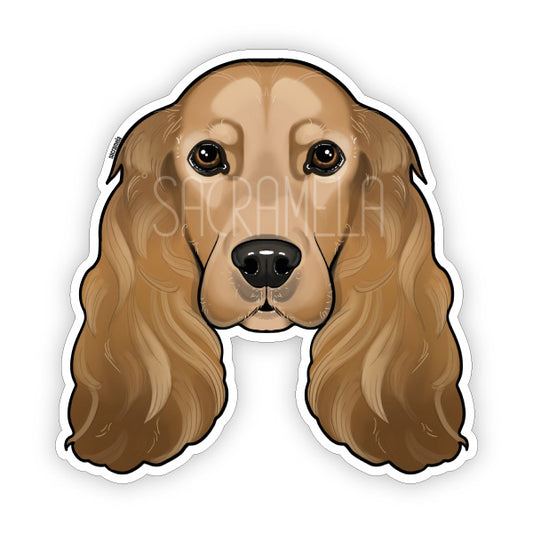 ENGLISH COCKER SPANIEL BROWN