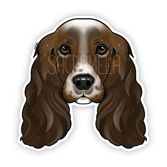 ENGLISH COCKER SPANIEL BROWN WHITE