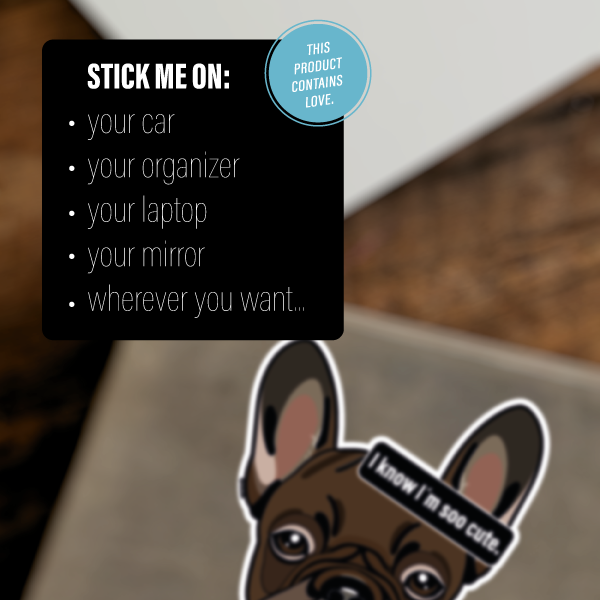 FRENCH BULLDOG CHOCOLATE