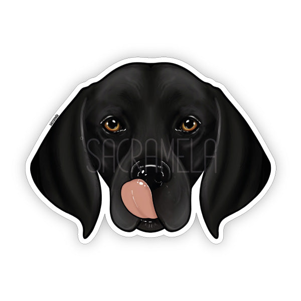 GERMAN SHORTHAIRED POINTER BLACK