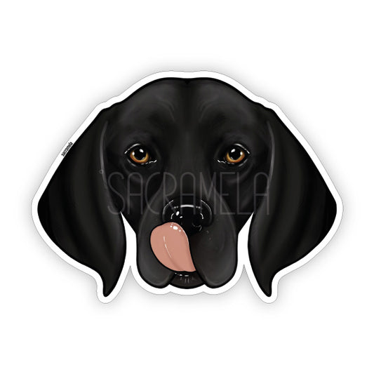GERMAN SHORTHAIRED POINTER BLACK
