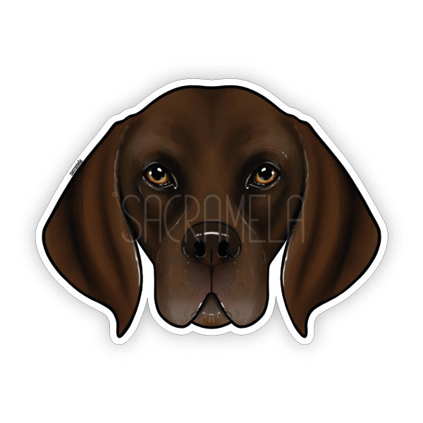 GERMAN SHORTHAIRED POINTER BROWN