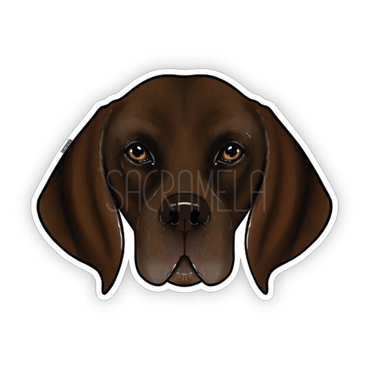 GERMAN SHORTHAIRED POINTER BROWN