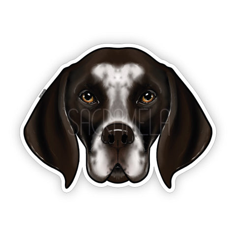 GERMAN SHORTHAIRED POINTER BROWN WHITE