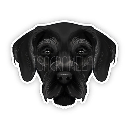 GERMAN WIREHAIRED POINTER BLACK