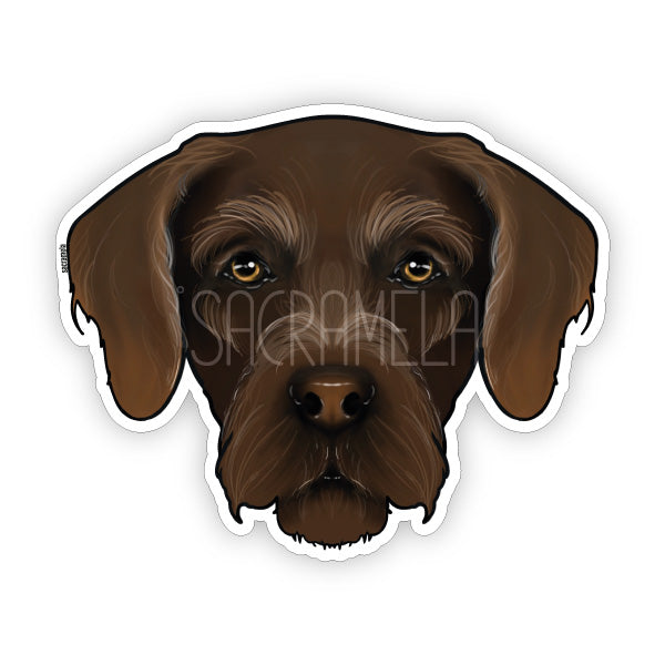 GERMAN WIREHAIRED POINTER BROWN STICKER – SACRAMELA