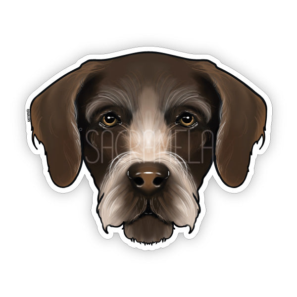 GERMAN WIREHAIRED POINTER BROWN WHITE