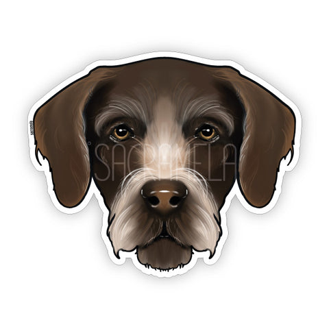 GERMAN WIREHAIRED POINTER BROWN WHITE
