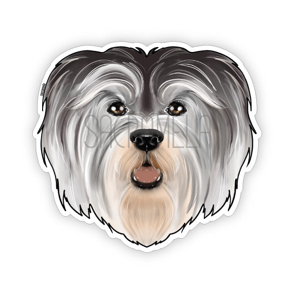 HAVANESE GREY