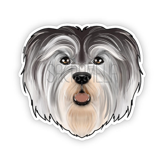 HAVANESE GREY