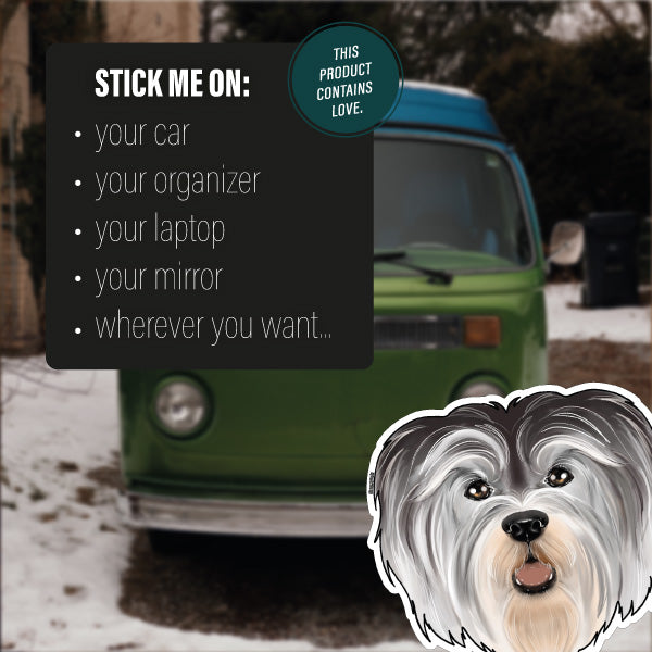 HAVANESE GREY