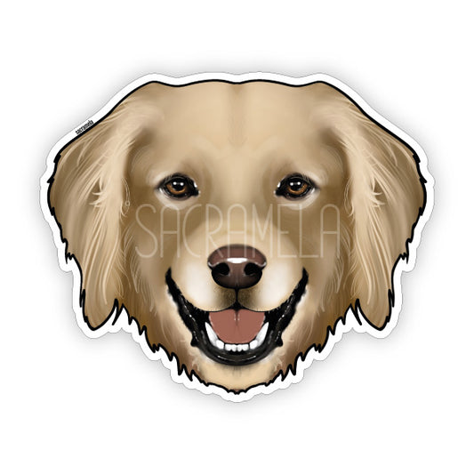 HOVAWART BLONDE