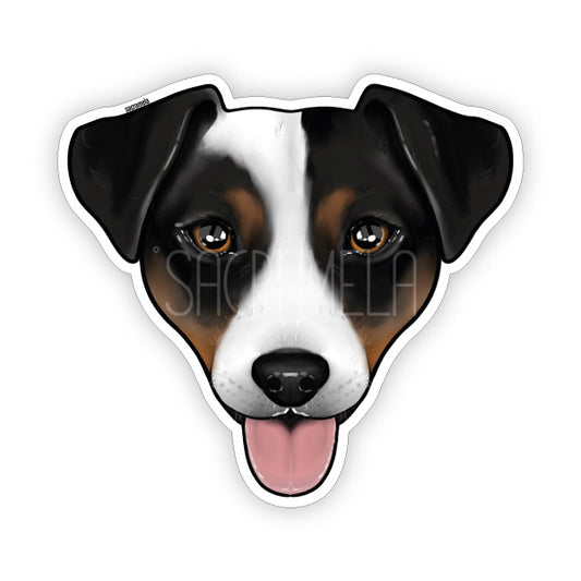 JACK RUSSELL TERRIER BLACK BROWN WHITE