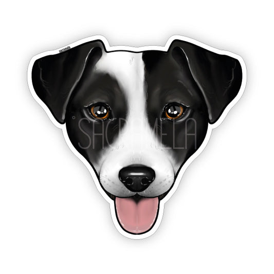 JACK RUSSELL TERRIER BLACK WHITE