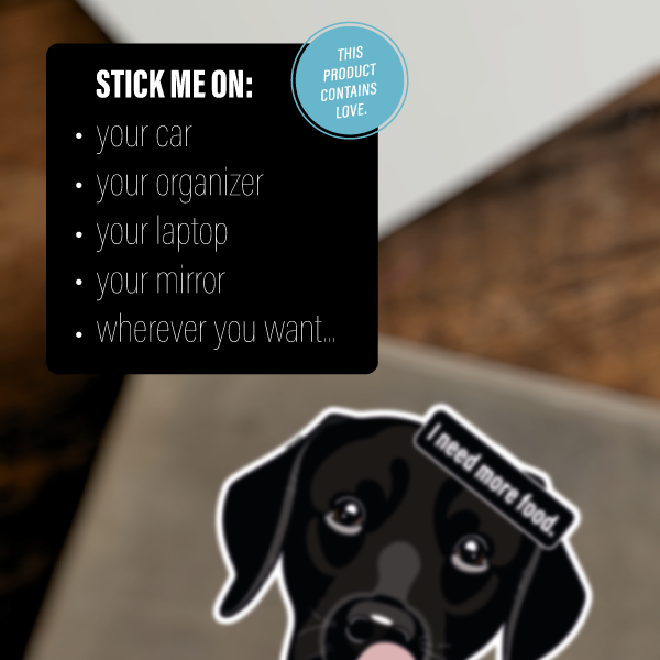 LABRADOR RETRIEVER BLACK