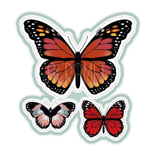 MARMALADE BUTTERLIES