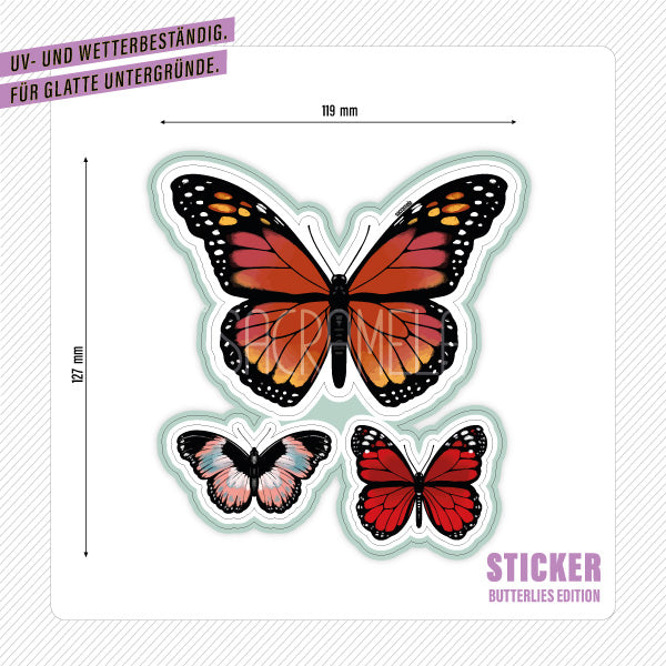 MARMALADE BUTTERLIES